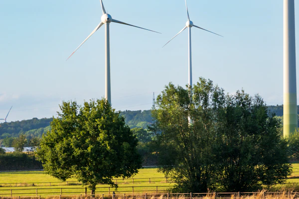 Wind turbines standing in a green field under a blue sky